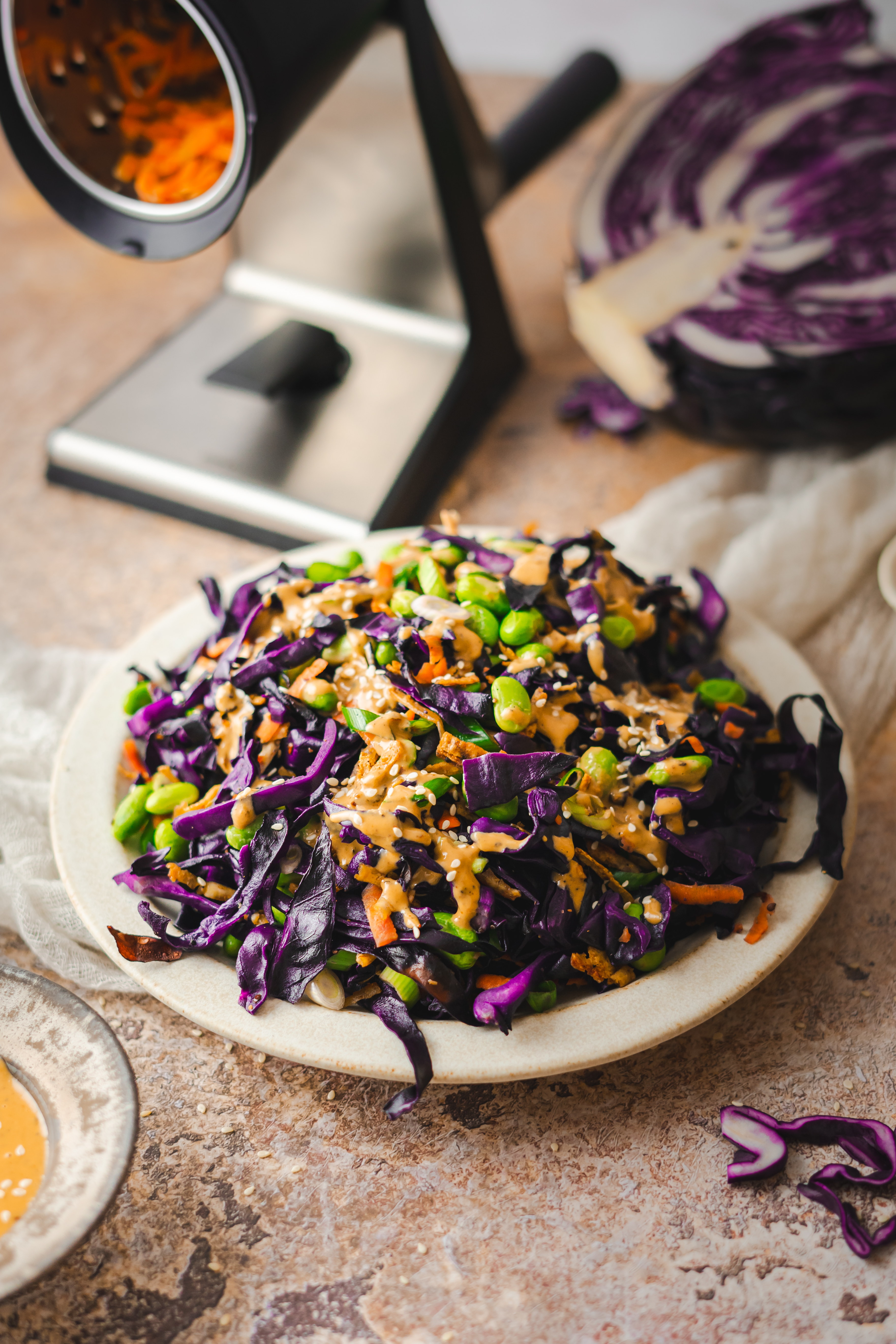 Gerösteter Rotkohl Salat mit Shredded Tofu 