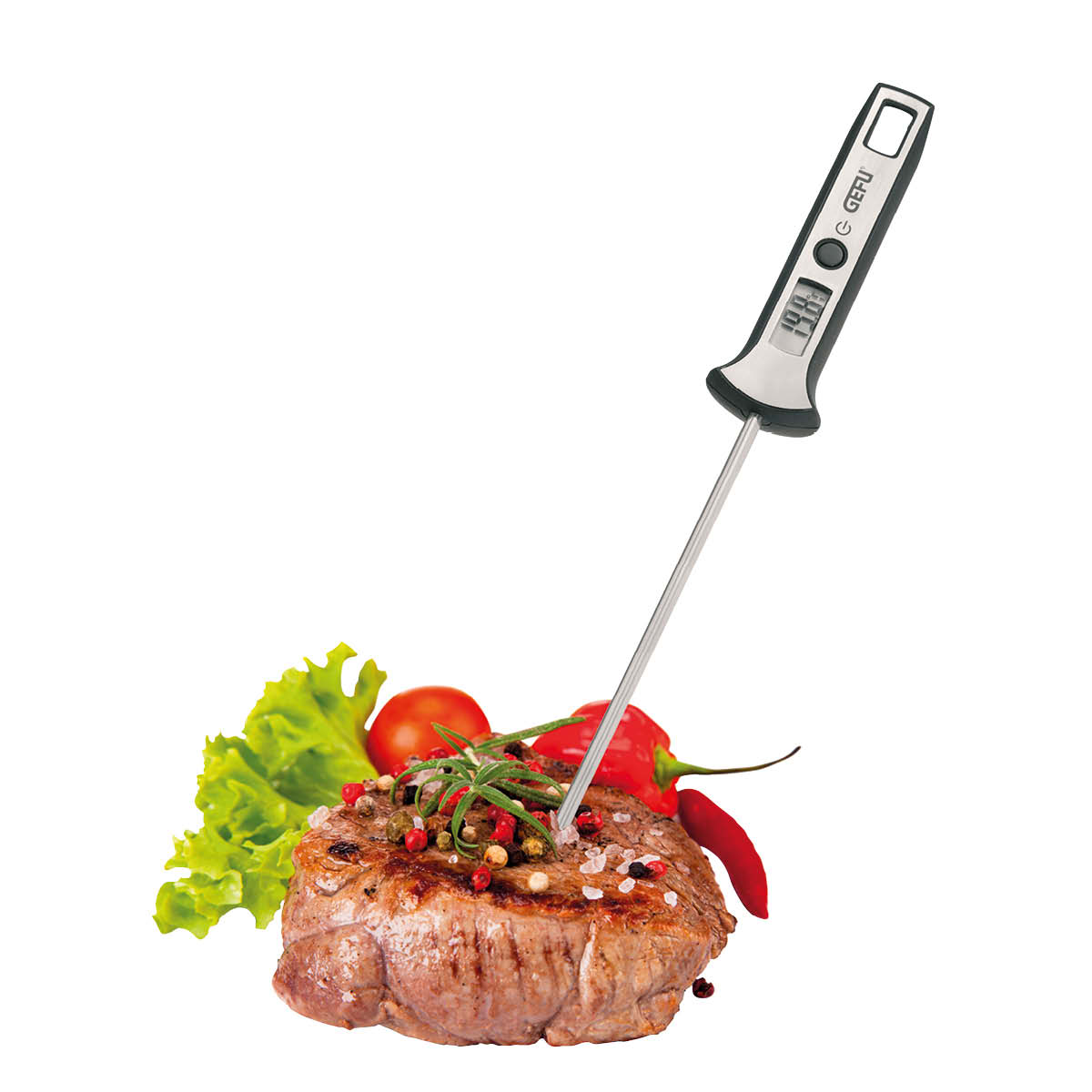 Digital-Thermometer SCALA®